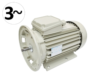 Moteur pompe à lait FP66 1.5kW 240 Volt triphasé