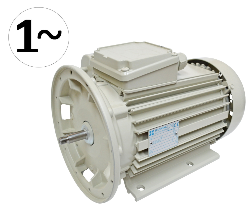 Moteur pompe à lait FP66 1.5kW 220 Volt monophasé