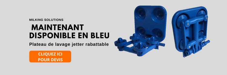 blue jetter French